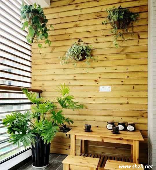 陽臺(tái)植物
